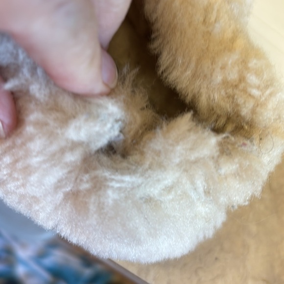 Ugg Wrinn Beige Knit Slippers - Picture 12 of 12